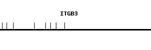 Human ITGB3 qPCR primer set (NM_000212)