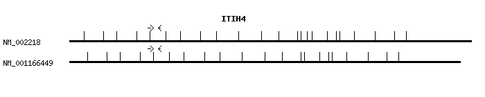 Human ITIH4 qPCR primer set (NM_002218)