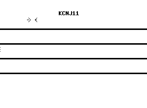 Human KCNJ11 qPCR primer set (NM_000525)