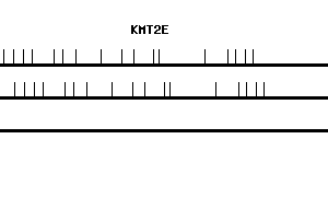 Human KMT2E qPCR primer set (NM_018682)