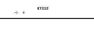 Human KTI12 qPCR primer set (NM_138417)