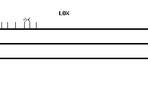 Human LOX qPCR primer set (NM_002317)
