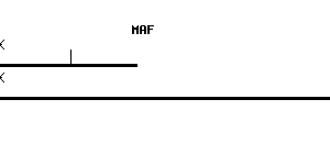 Human MAF qPCR primer set (NM_005360)