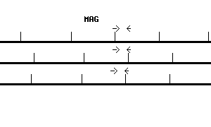 Human MAG qPCR primer set (NM_002361)
