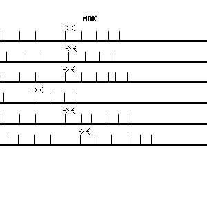 Human MAK qPCR primer set (NM_005906)