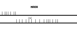 Human MAOA qPCR primer set (NM_000240)