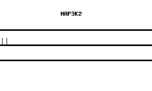 Human MAP3K2 qPCR primer set (NM_006609)