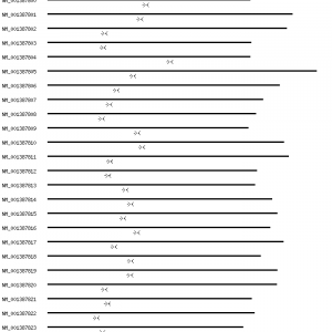 Human MBNL1 qPCR primer set (NM_021038)