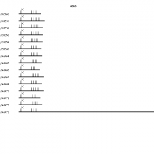 Human MEG3 qPCR primer set (NR_002766)