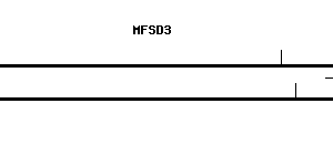 Human MFSD3 qPCR primer set (NM_138431)
