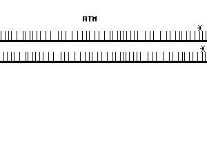 Human ATM qPCR primer set (NM_000051)