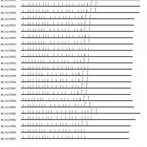 Human ATP6V0A1 qPCR primer set (NM_005177)