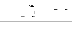 Human BAD qPCR primer set (NM_004322)