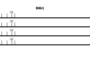 Human BAG1 qPCR primer set (NM_004323)