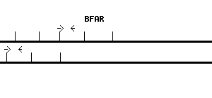Human BFAR qPCR primer set (NM_016561)