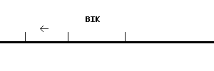 Human BIK qPCR primer set (NM_001197)