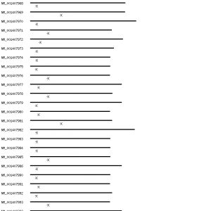 Human BRCA1 qPCR primer set (NM_007294)