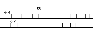 Human C6 qPCR primer set (NM_000065)