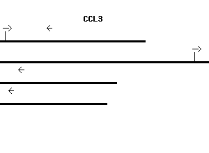 Human CCL3 qPCR primer set (NM_002983)