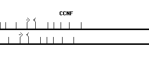 Human CCNF qPCR primer set (NM_001761)