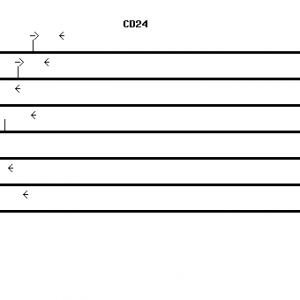 Human CD24 qPCR primer set (NM_013230)