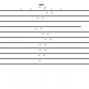 Human CD27 qPCR primer set (NM_001242)