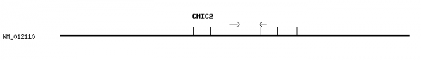 Human CHIC2 qPCR primer set (NM_012110)