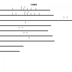 Human CIDEB qPCR primer set (NM_014430)