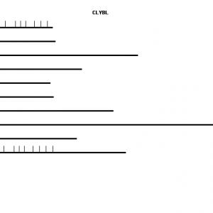 Human CLYBL qPCR primer set (NM_206808)