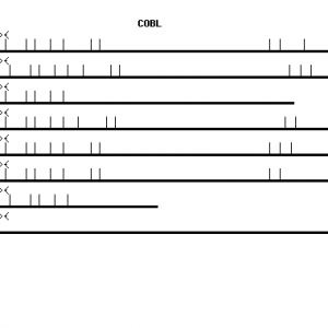 Human COBL qPCR primer set (NM_015198)