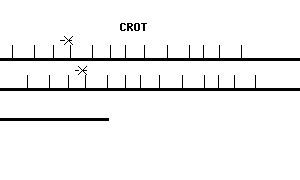 Human CROT qPCR primer set (NM_021151)