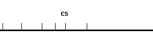 Human CS qPCR primer set (NM_004077)