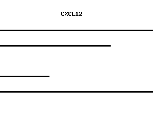 Human CXCL12 qPCR primer set (NM_000609)