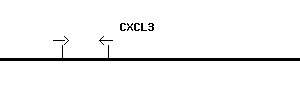 Human CXCL3 qPCR primer set (NM_002090)