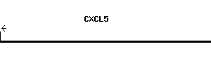 Human CXCL5 qPCR primer set (NM_002994)