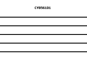 Human CYB561D1 qPCR primer set (NM_182580)