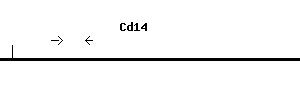 Mouse Cd14 qPCR primer set (NM_009841)