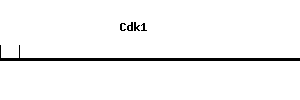 Mouse Cdk1 qPCR primer set (NM_007659)