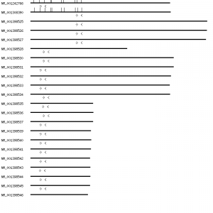 Human DLGAP1 qPCR primer set (NM_004746)