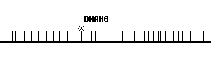 Human DNAH6 qPCR primer set (NM_001370)