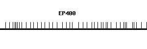 Human EP400 qPCR primer set (NM_015409)