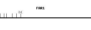 Human FAR1 qPCR primer set (NM_032228)