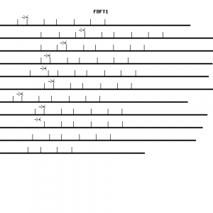 Human FDFT1 qPCR primer set (NM_004462)