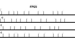 Human FPGS qPCR primer set (NM_004957)