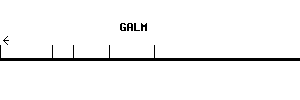 Human GALM qPCR primer set (NM_138801)