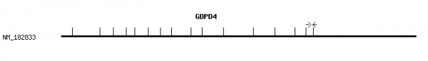 Human GDPD4 qPCR primer set (NM_182833)