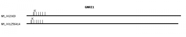 Human GNAI1 qPCR primer set (NM_002069)