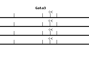 Mouse Gata3 qPCR primer set (NM_008091)
