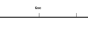 Mouse Gsc qPCR primer set (NM_010351)