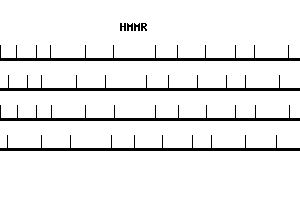 Human HMMR qPCR primer set (NM_012484)